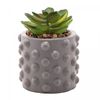Cachepot-de-Cimento-com-Suculenta-Bubbles-Cinza-75cm-x-105cm-Wolff