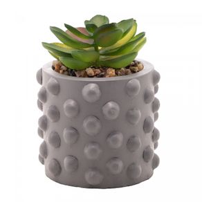 Cachepot-de-Cimento-com-Suculenta-Bubbles-Cinza-75cm-x-105cm-Wolff