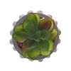 Cachepot-de-Cimento-com-Suculenta-Bubbles-Cinza-75cm-x-105cm-Wolff