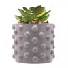 Cachepot-de-Cimento-com-Suculenta-Bubbles-Cinza-75cm-x-105cm-Wolff