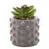 Cachepot-de-Cimento-com-Suculenta-Bubbles-Cinza-75cm-x-105cm-Wolff