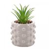 Tabua-para-Corte-de-Plastico-Fruits-Vermelha-30cm-x-20cm-x-1cm-Lyor
