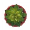 Cachepot-de-Cimento-com-Suculenta-Spikes-Terracota-75cm-x-11cm-Wolff