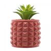 Cachepot-de-Cimento-com-Suculenta-Spikes-Terracota-75cm-x-11cm-Wolff