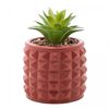 Cachepot-de-Cimento-com-Suculenta-Spikes-Terracota-10cm-x-15cm-Wolff