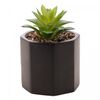 Cachepot-de-Cimento-com-Suculenta-Geometrico-Preto-10cm-x-15cm-Wolff