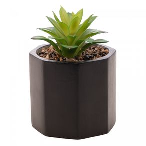 Cachepot-de-Cimento-com-Suculenta-Geometrico-Preto-10cm-x-15cm-Wolff