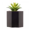 Cachepot-de-Cimento-com-Suculenta-Geometrico-Preto-10cm-x-15cm-Wolff