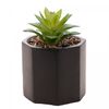 Cachepot-de-Cimento-com-Suculenta-Geometrico-Preto-10cm-x-15cm-Wolff