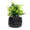 Bowl-Decorativo-de-Ceramica-Flor-Sortido-Trento-13cm-x-13cm-x-4cm-Wolff
