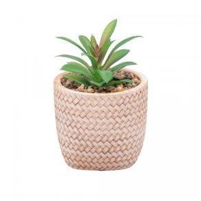 Cachepot-de-Ceramica-com-Suculenta-Rattan-7,5cm-x-7,5cm-X-9,5cm-Wolff