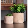 Tabua-para-Corte-de-Plastico-Fruits-Vermelha-30cm-x-20cm-x-1cm-Lyor