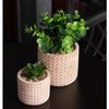 Refratario-de-Porcelana-Linea-Branco-20,5cm-x-15,5cm-x-5cm-Lyor