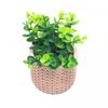 Refratario-de-Porcelana-Linea-Branco-20,5cm-x-15,5cm-x-5cm-Lyor