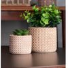 Copo-Alto-de-Cristal-Bangkok-370ml-Wolff