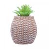 Jogo-6-Tacas-de-Agua-De-Cristal-Ecologico-Bohemia-Columba-Optic-650ml-Wolff