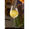 Jogo-6-Tacas-de-Champagne-De-Cristal-Ecologico-Bohemia-Columba-Optic-260Ml-Wolff