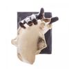 Conjunto-4-Colheres-de-Cha-de-Aco-Inox-Cat-Wolff