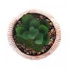 Vaso-de-Vidro-Tulipa-Sortido-8cm-x-8cm-x-18cm-Lyor