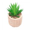 Copo-Alto-de-Cristal-Bangkok-370ml-Wolff