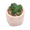 Jogo-6-Tacas-de-Agua-De-Cristal-Ecologico-Bohemia-Columba-Optic-650ml-Wolff