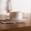 Tela-Protetora-para-Alimentos-de-Metal-Revestida-com-Plastico-Preta-30cm-x-12cm-Lyor