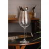 Jogo-6-Tacas-de-Agua-De-Cristal-Ecologico-Bohemia-Columba-Optic-650ml-Wolff