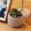 Conjunto-2-Pecas-Tabua-com-Bandeja-Greek-22,5cm-x-32cm-x-1cm-Bambu-Lyor