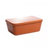 Pote-Hermetico-com-Tampa-de-Bambu-e-PP-Stripes-Coral-215cm-x-135cm-x-75cm-Lyor