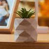 Tabua-Oval-Decorativa-Aura-45cm-x-12cm-x-1,5cm-Bambu-Lyor