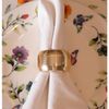 Conjunto-4-Aneis-para-Guardanapo-Tresse-Bege-Plastico-Lyor