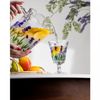 Leiteira-de-Inducao-Vanilla-Grace-1,7L-Aluminio-com-Revestimento-Ceramico-Lyor
