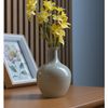 Frigideira-de-Inducao-Vanilla-Grace-24cm-Aluminio-com-Revestimento-Ceramico-Lyor