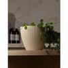 Frigideira-de-Inducao-Ebano-Grace-22cm-Aluminio-com-Revestimento-Ceramico-Lyor