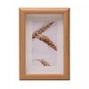 Frigideira-de-Inducao-Vanilla-Grace-20cm-Aluminio-com-Revestimento-Ceramico-Lyor