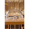 Prato-para-Bolo-com-Pe-e-Tampa-New-Butterfly-30cm-x-25cm-Cristal-Ecologico-Lyor