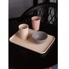 Bandeja-de-Bambu-e-PP-Sortida-305cm-x-22cm-Lyor