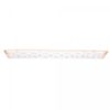 Conjunto-15-Bolinhas-de-Canfora-2cm-Lyor