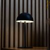 Cesta-Botanica-26cm-x-17cm-x-7cm-Rattan-Lyor