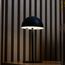 Cesta-Botanica-26cm-x-17cm-x-7cm-Rattan-Lyor