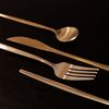 Faqueiro-16-Pecas-de-Aco-Inox-Opera-Champanhe-Lyor
