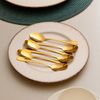 Conjunto-6-Colheres-de-Cha-de-Aco-Inox-Positano-Dourado-12cm-Lyor