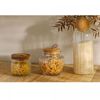 Pote-com-Tampa-de-Cortica-e-Puxador-Classic-600ml-Vidro-Lyor