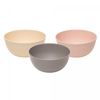 Conjunto-3-Bowl-Quadrados-com-Tampa-Stripes-Sortido-PP-e-Bambu-Lyor