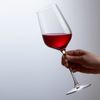 Conjunto-2-Tacas-de-Vinho-de-Cristal-Ecologico-Balance-L-Artisan-550ml-Lyor
