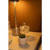 Potiche-com-Pe-Sortido-95cm-x-145cm-Cristal-Ecologico-Lyor