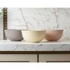 Bowl-Lines-20cm-x-9cm-Sortido-PP-e-Bambu-Lyor