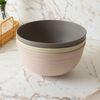 Bowl-Lines-20cm-x-9cm-Sortido-PP-e-Bambu-Lyor
