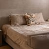 Cobertor-Velvet-Dream-Casal-Bege-Microfibra-Wolff