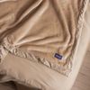Cobertor-Velvet-Dream-Queen-Bege-Microfibra-Wolff